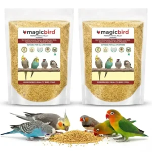 Magicbird Foxtail Millet (Kangni Seeds) | 500g | Premium Bird Food for Budgies, Lovebirds, Cockatiels, Canaries & Finches | Natural, Human-Grade, No Preservatives | Pack of 1