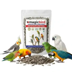 Magicbird Striped Premium Sunflower Seeds for Birds (500g) | Natural & Nutritious Bird Food for Lovebirds, Cockatiels, Conures, African Grey Parrot, Amazon, Macaws & Cockatoos | for All Life Stages
